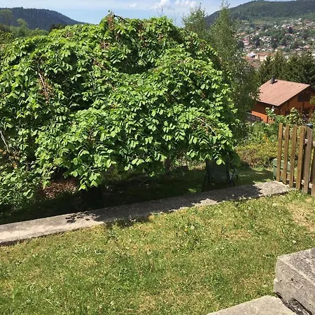 Lejlighed Studio Quartier Gouttridos Avec Vue Sur Le Lac Gérardmer
