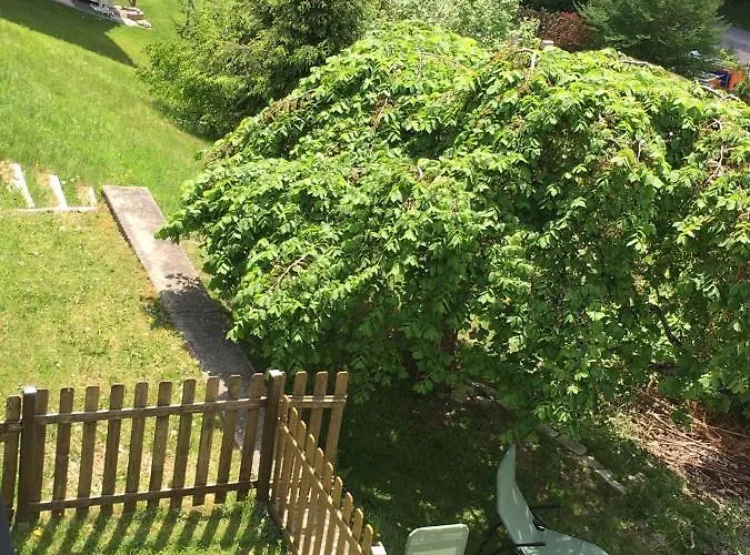 Studio Quartier Gouttridos Avec Vue Sur Le Lac Appartement Gérardmer